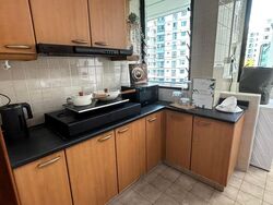 Simei Green Condominium (D18), Condominium #559286511